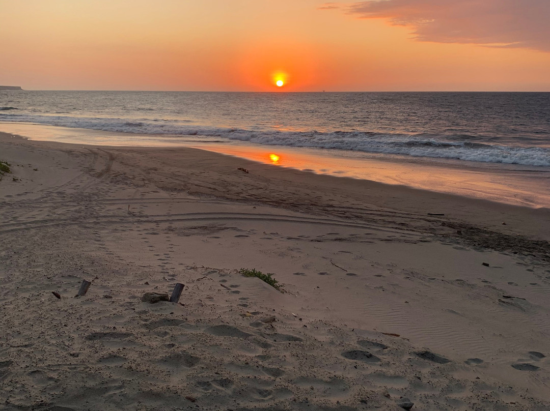 Hotel Villa Sirena主图