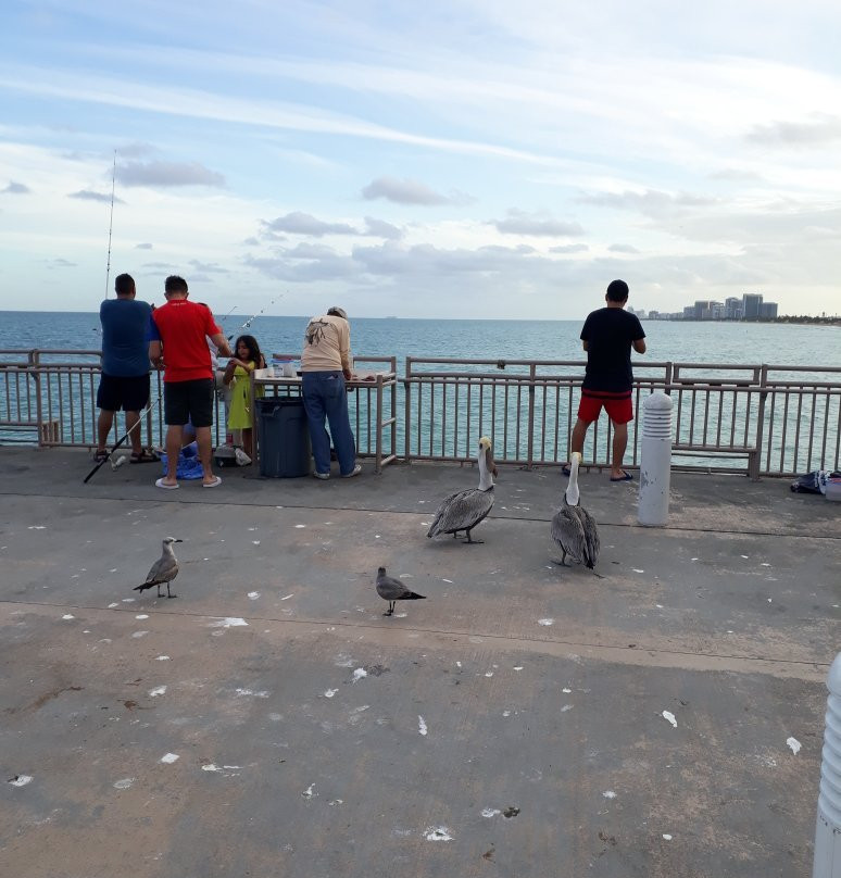 Pier Park景点图片