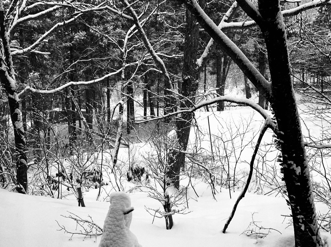 Wadano Forest Hotel & Apartments主图