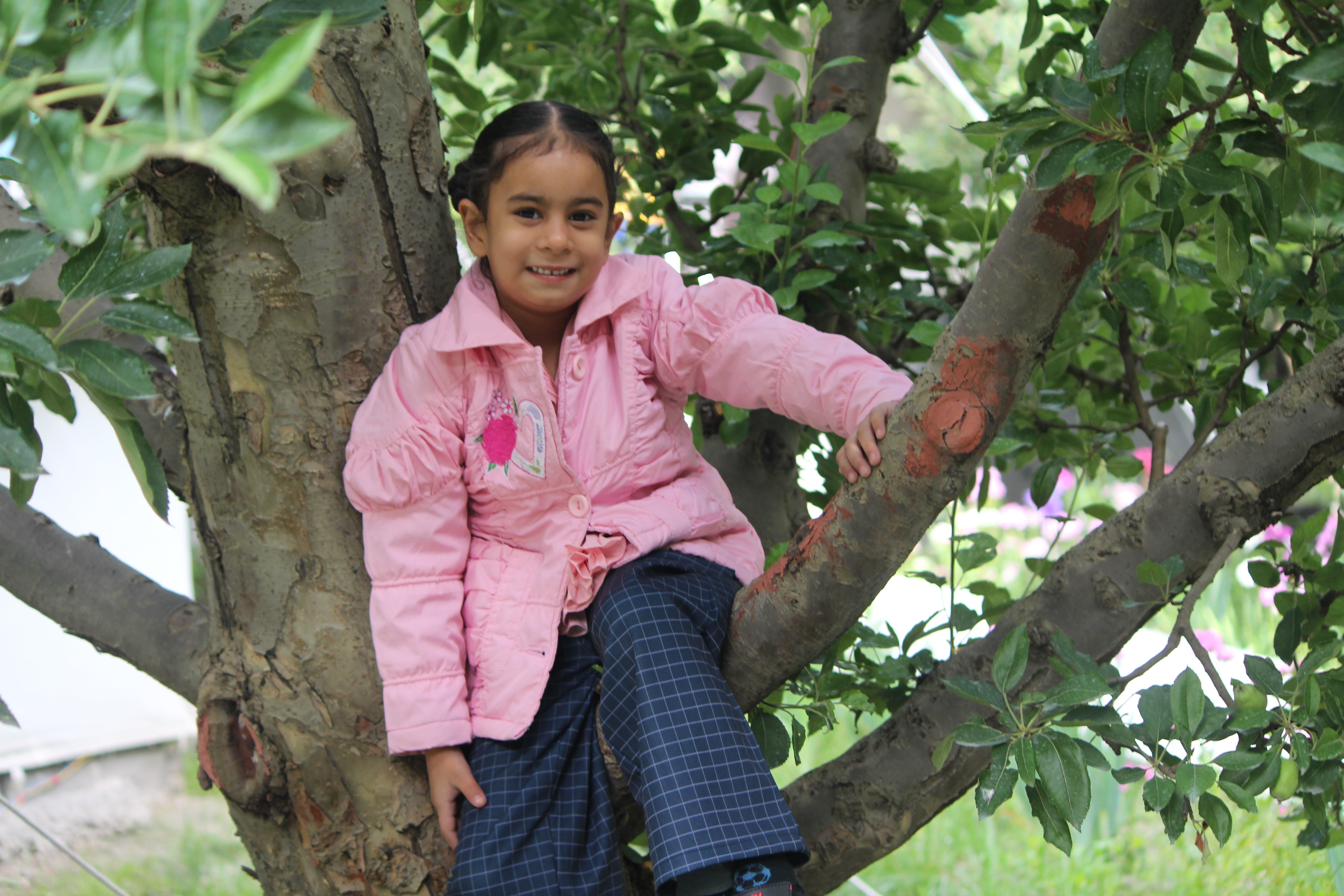 Apple Orchard Farm and Camping-家庭/游戏区