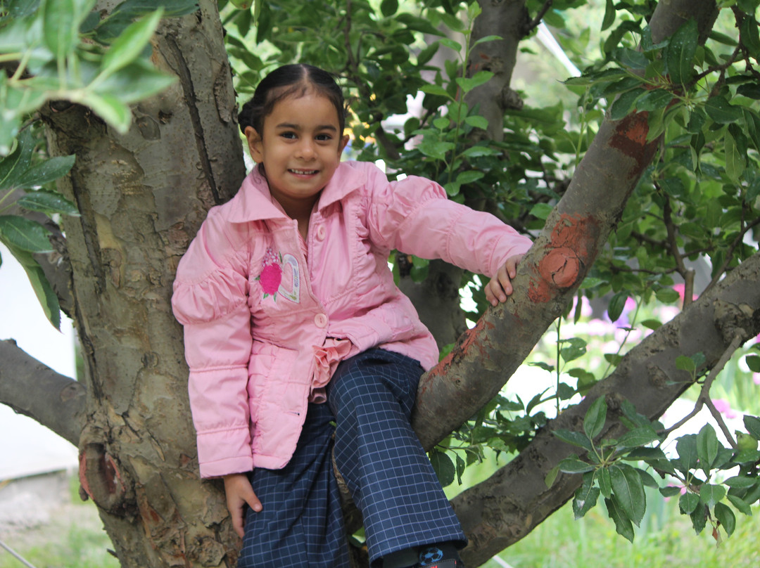 Apple Orchard Farm and Camping主图