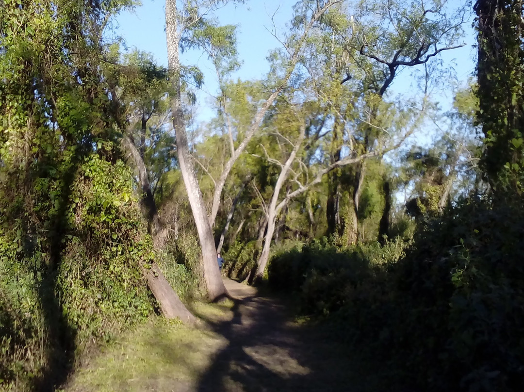 Parque Nacional Pre-Delta景点图片