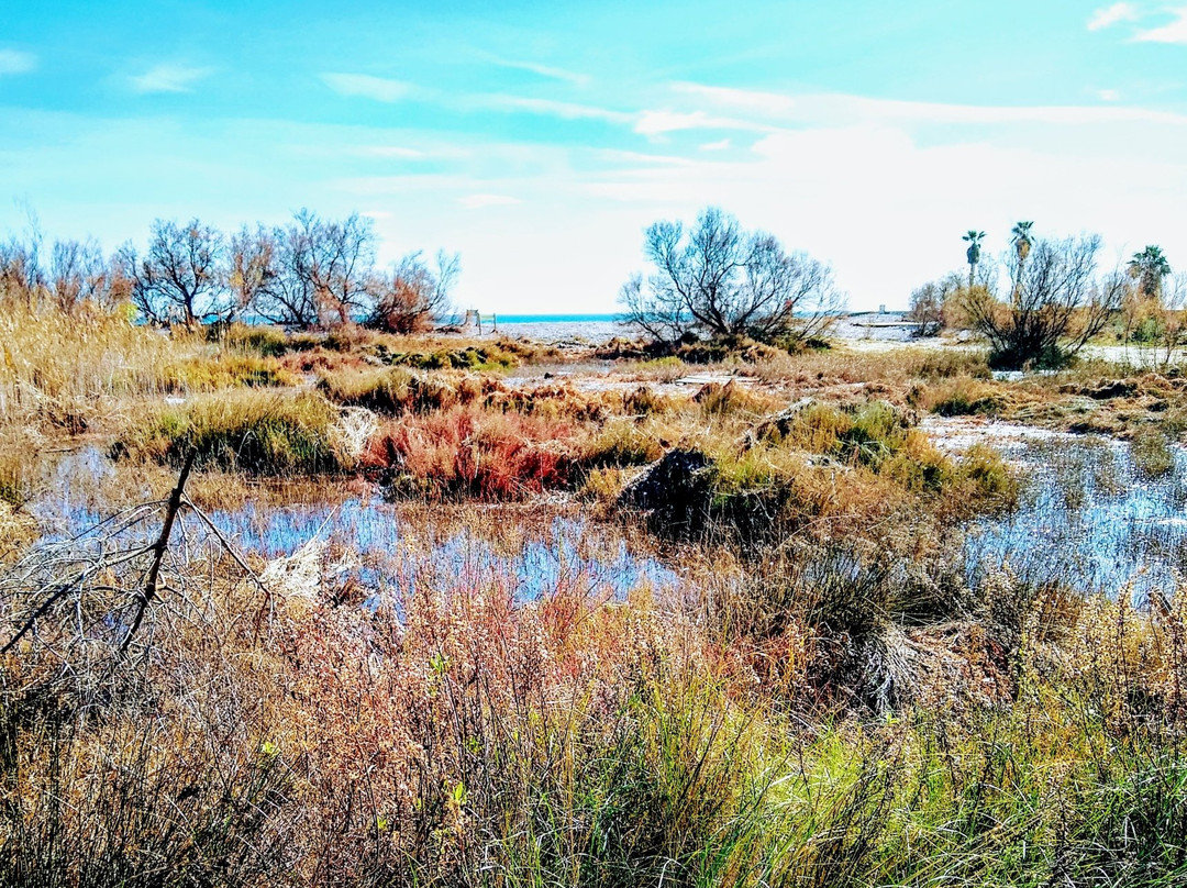 Torre la Sal旅游攻略图片