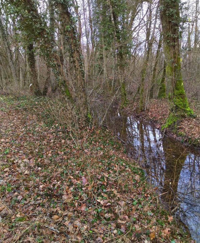 Mare de Craquenot - Espace Naturel Sensible