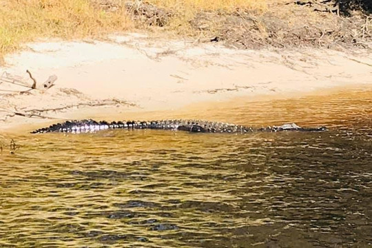 Green Boat Tour Company-阿卡迪亚必去景点