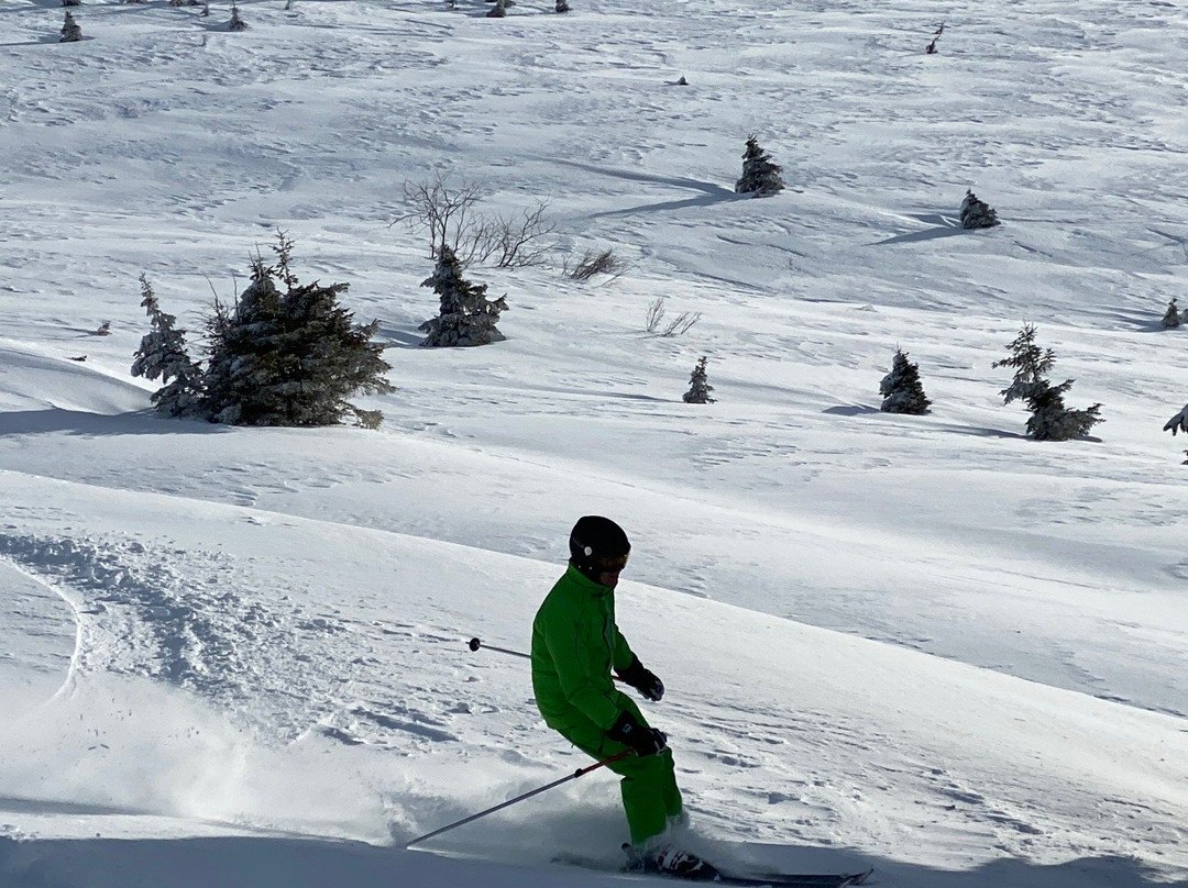 Blue Chilli Snowsports景点图片