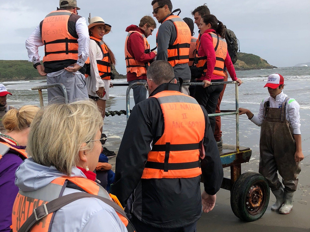 Ecoturismo Punihuil-Ancud必去景点