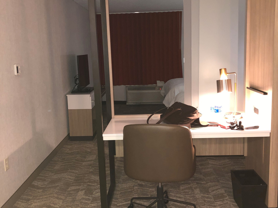 SpringHill Suites by Marriott Indianapolis Airport/Plainfield主图