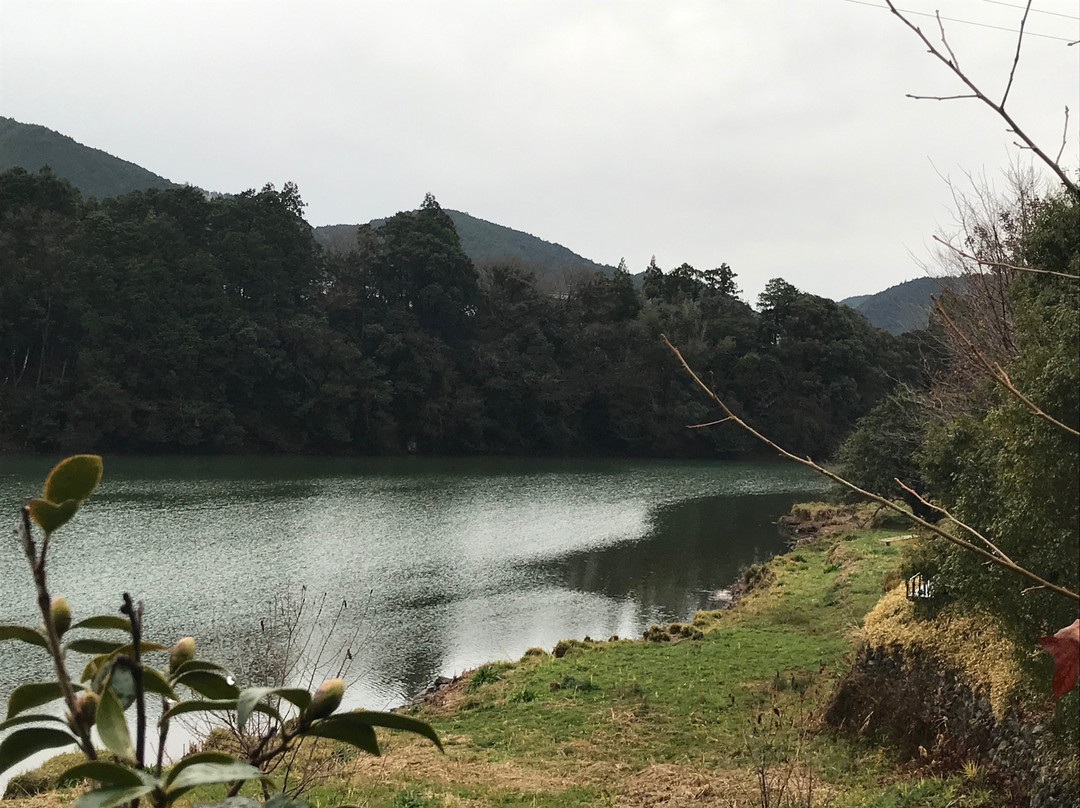 湖畔游