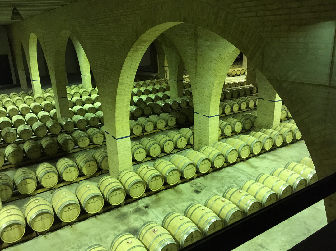 Bodegas Irache-Ayegui必去景点
