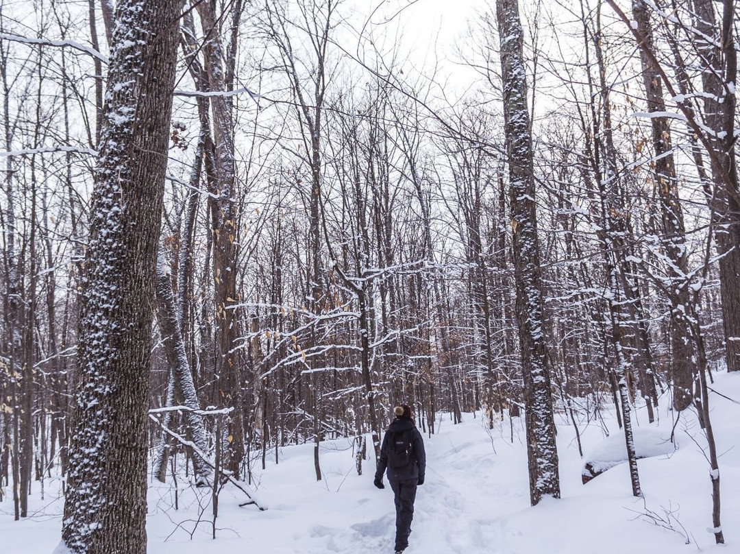 Mont Orford-Orford必去景点