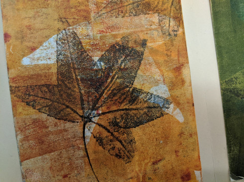 Petite Petal-坎贝尔必去景点