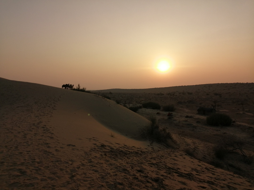Wild Heritage Tours Jaisalmer景点图片