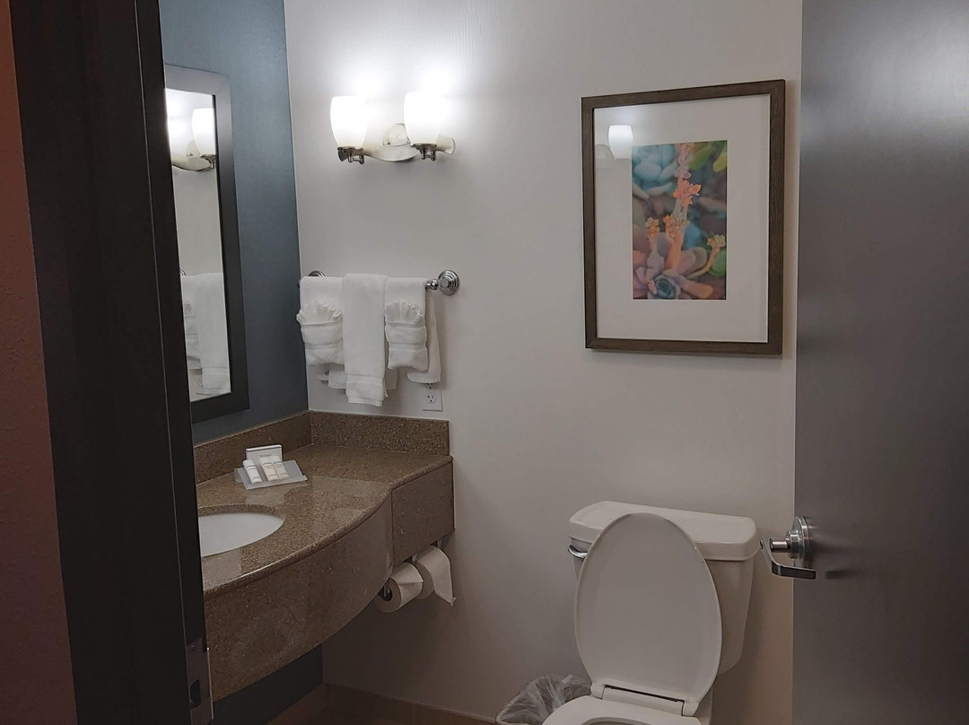 沃思堡机场北格雷普韦恩希尔顿花园旅馆主图