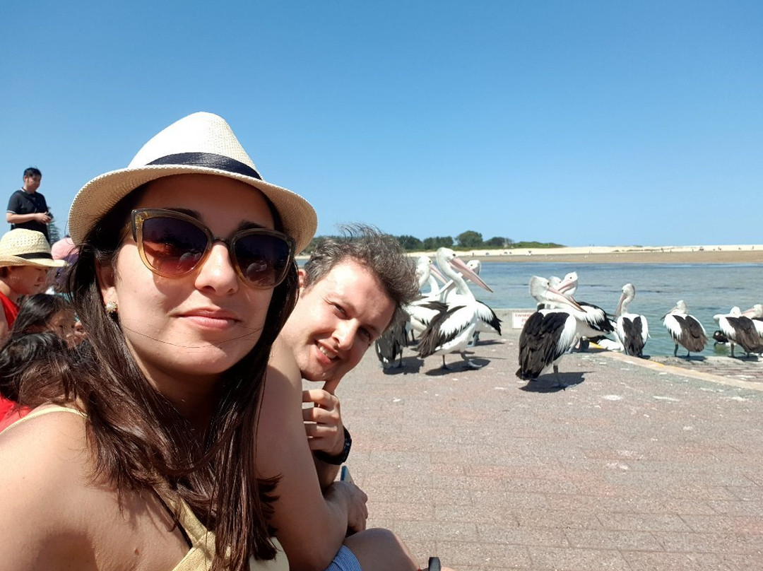 The Entrance Pelican Feed-恩瑞斯必去景点