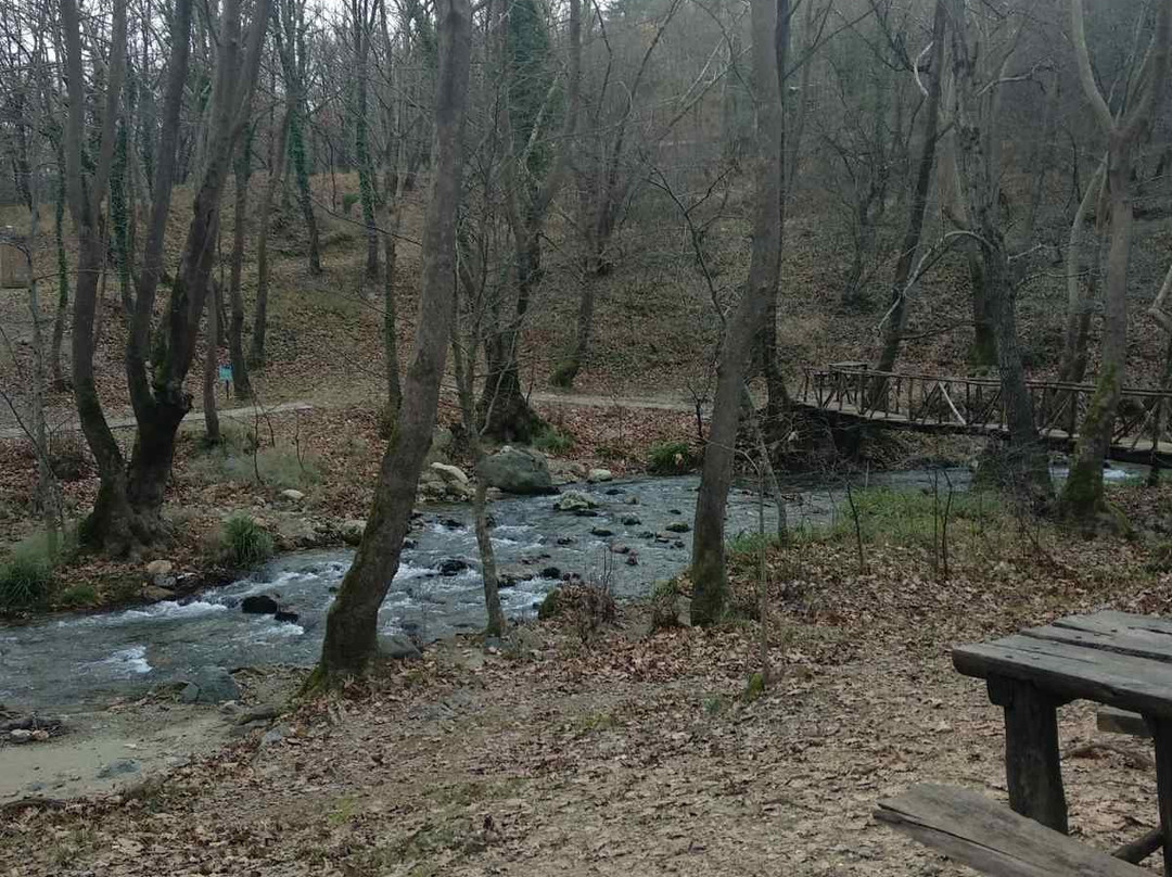 Mount Paiko-Pella必去景点