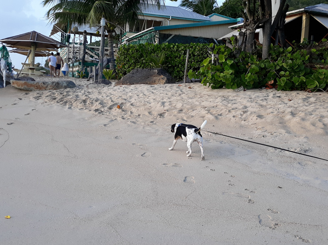 Rum Bus Beach-Johnsons Point必去景点
