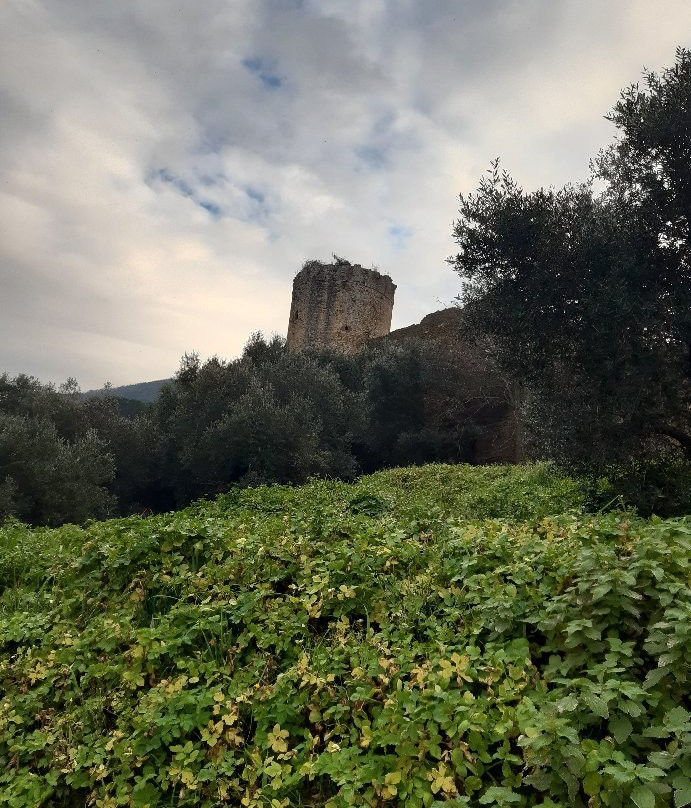 Rocca Pisana景点图片