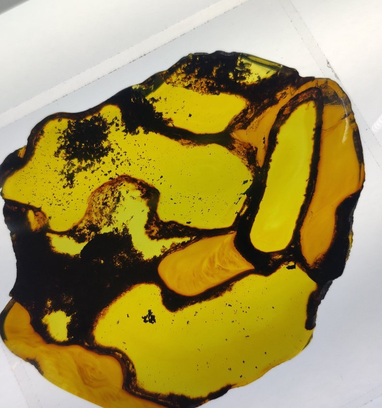 Museo del Ámbar, Lilia Mijangos-圣克里斯托瓦尔-德拉斯卡萨斯必去景点