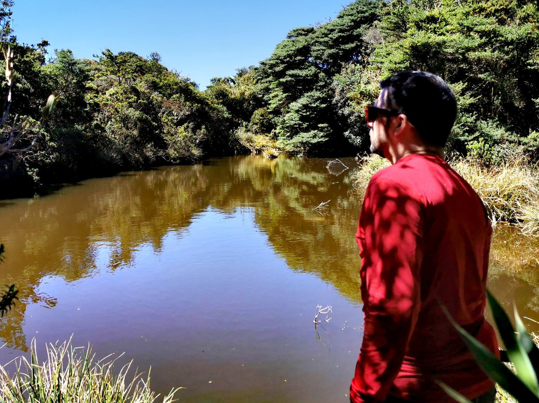 Cerro de la Muerte-圣何塞省必去景点