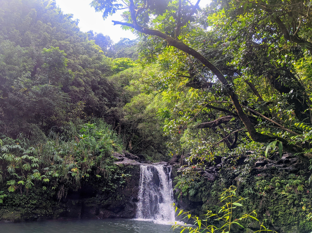 Halfway to Hana-哈纳必去景点