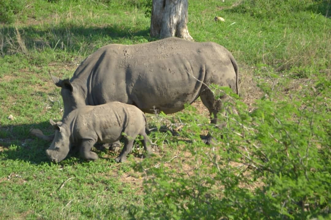 Mussiro Trips-马布多必去景点