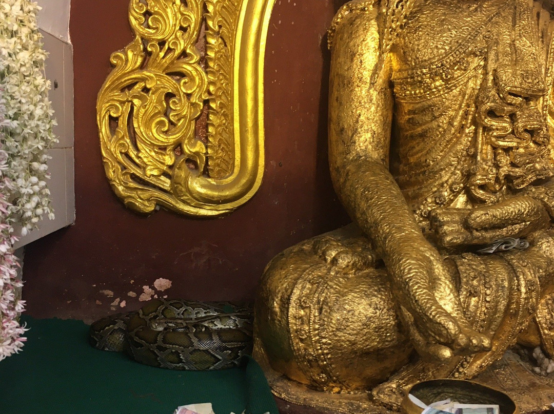 Snake Pagoda (Hmwe Paya)景点图片