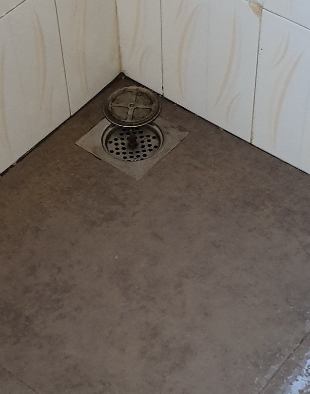 Oasey Ayurveda Hotel主图