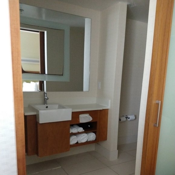 SpringHill Suites by Marriott Voorhees Mt. Laurel/Cherry Hil-浴室