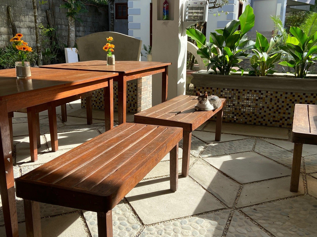 Ferellee Beach Front Inn主图