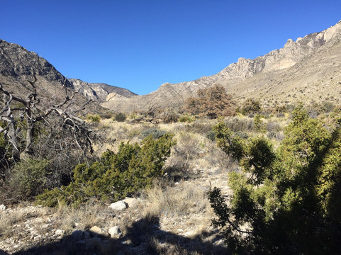Pine Springs Visitor Center-Guadalupe Mountains National Park必去景点