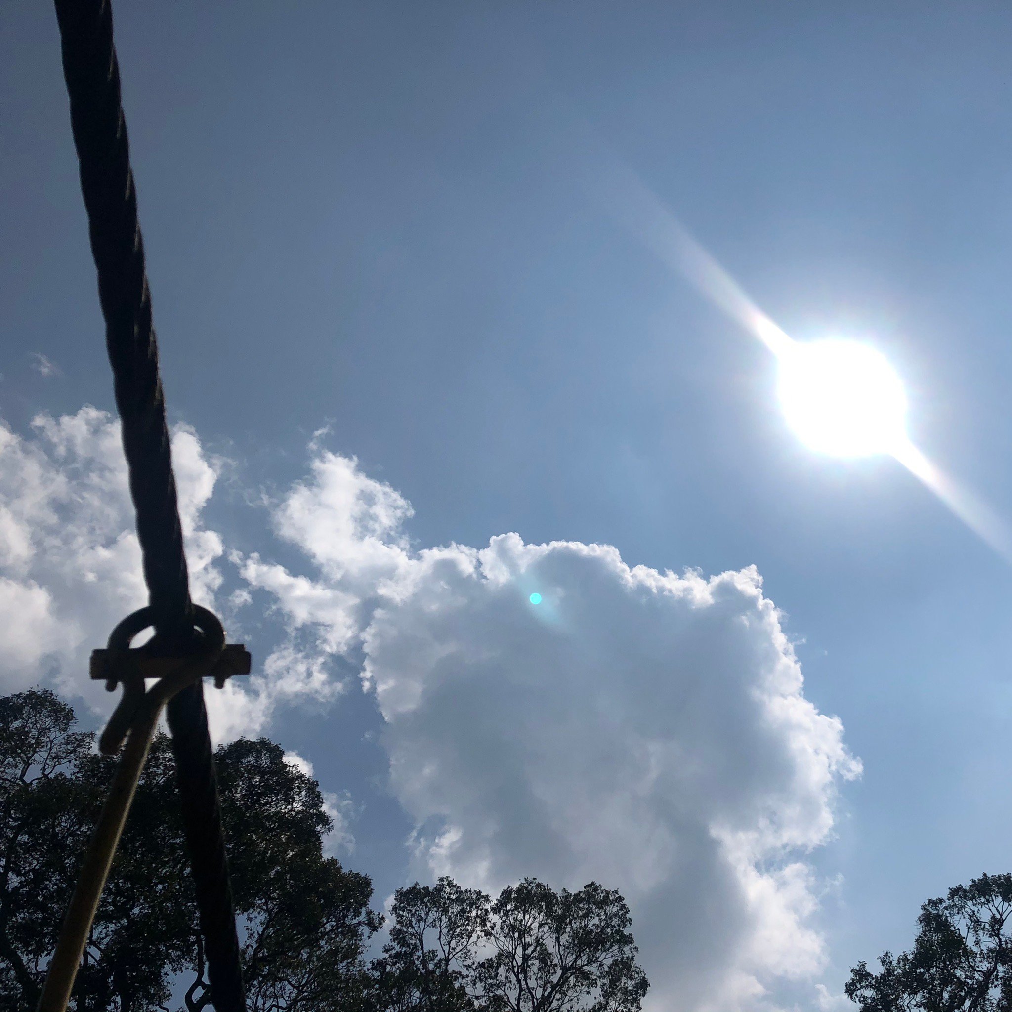 Nisargadhama Forest Resort-官方