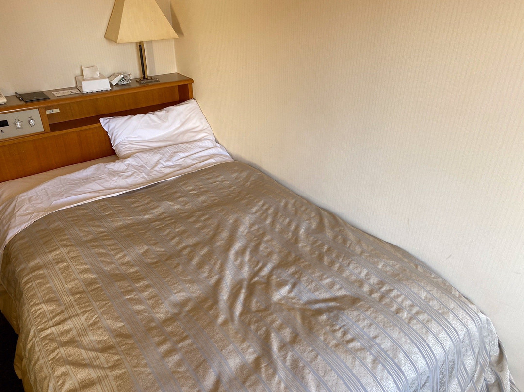 新泻灿路都大饭店主图