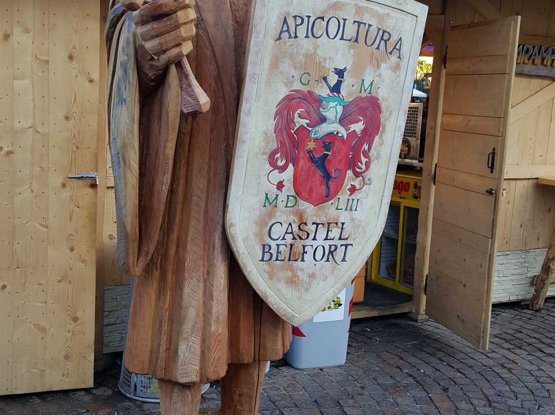 Mercatino di Natale景点图片