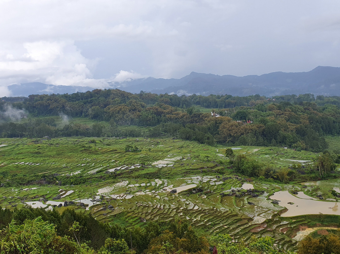 Bugis Makassar - Day Trip景点图片