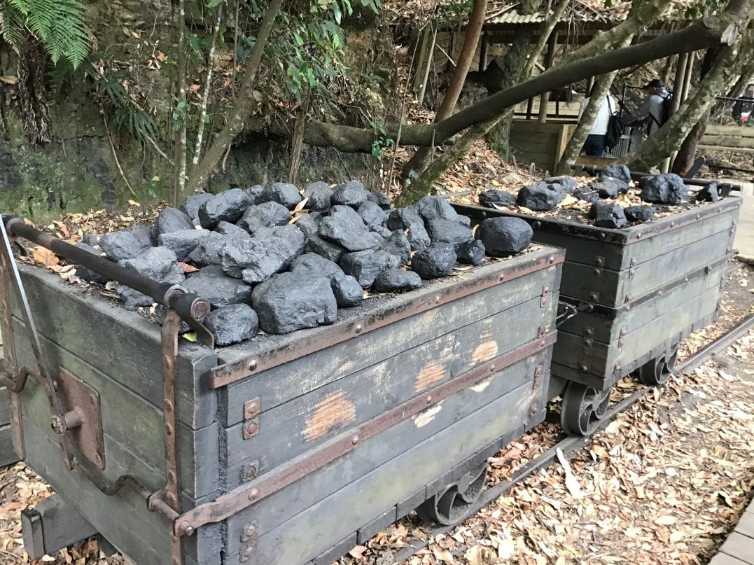 Blue Mountains Eco Tours-卡通巴必去景点