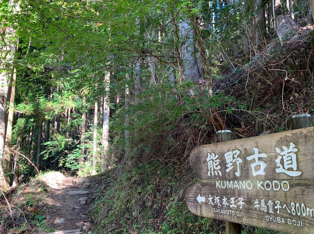 Kumano Kodo Nakahechi Michi-no-Eki-田边市必去景点