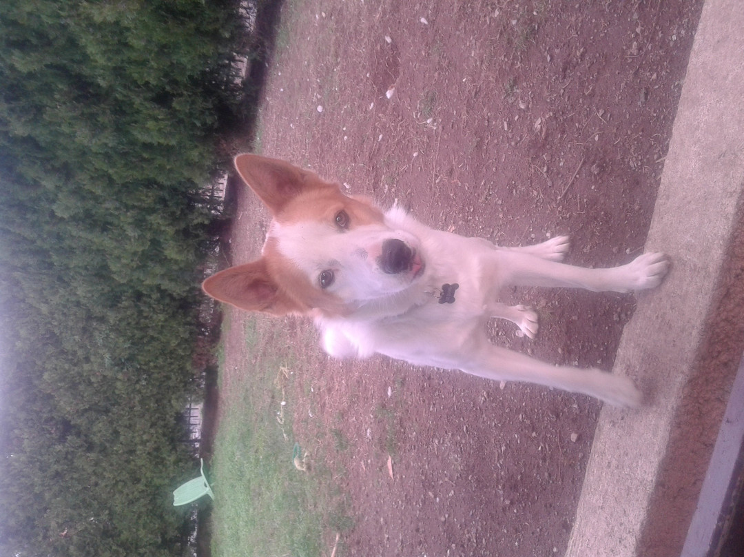 B&B Ca' de Neva di Silva Fabbiani主图