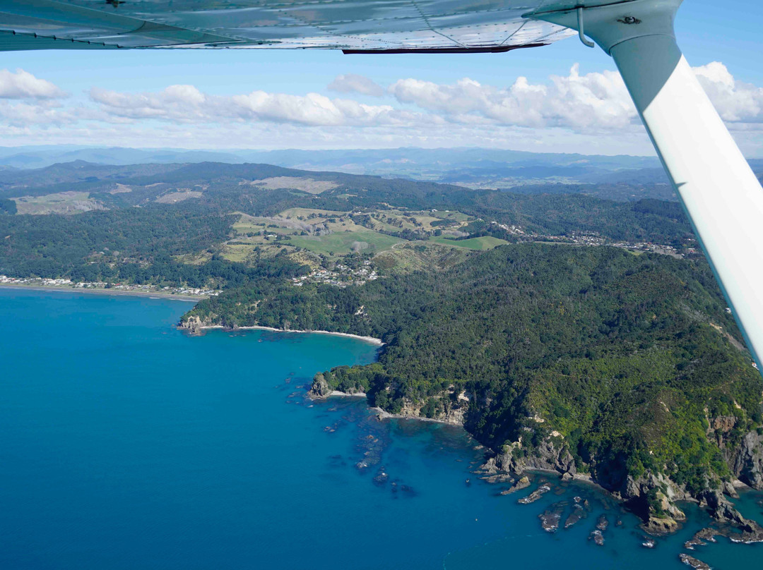 Kohi Point Lookout景点图片