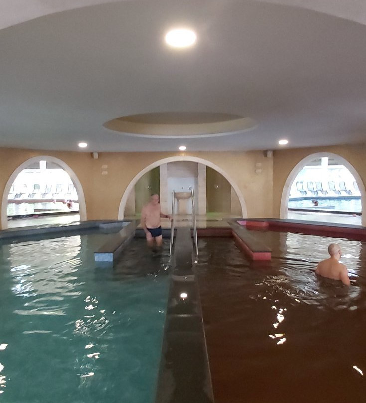 Aquaticum Medicinal and Thermal Baths景点图片