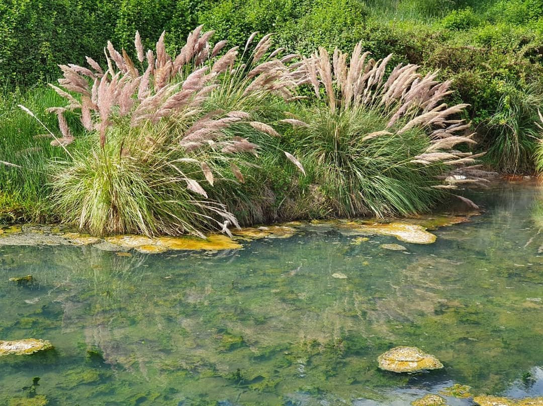 Hotel Termas del Flaco主图