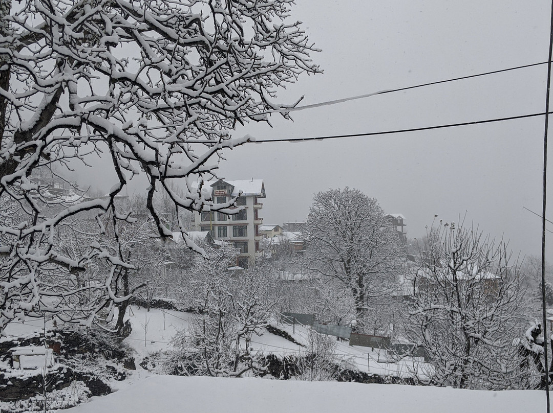 The Grand Shamba-La主图