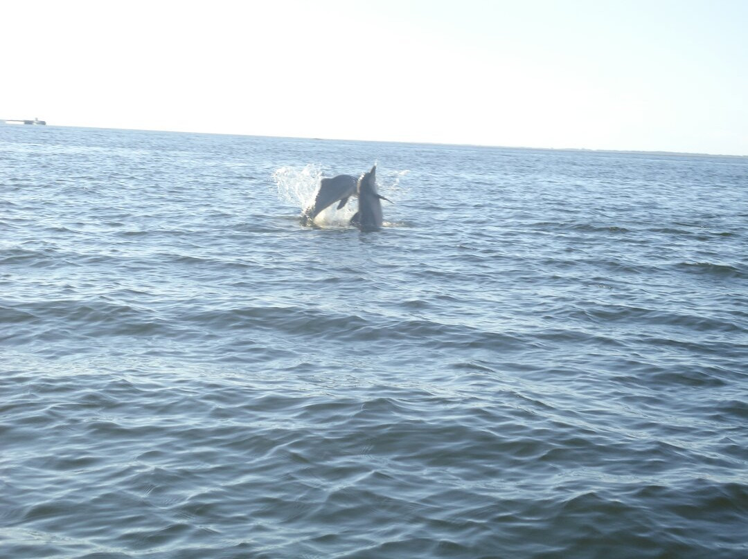 Maica Lake-Santarem必去景点