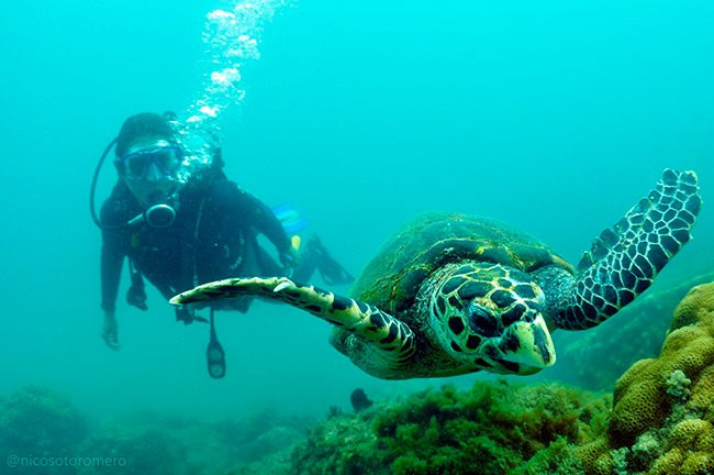 SeaQuest Sub-阿拉伊阿尔港必去景点