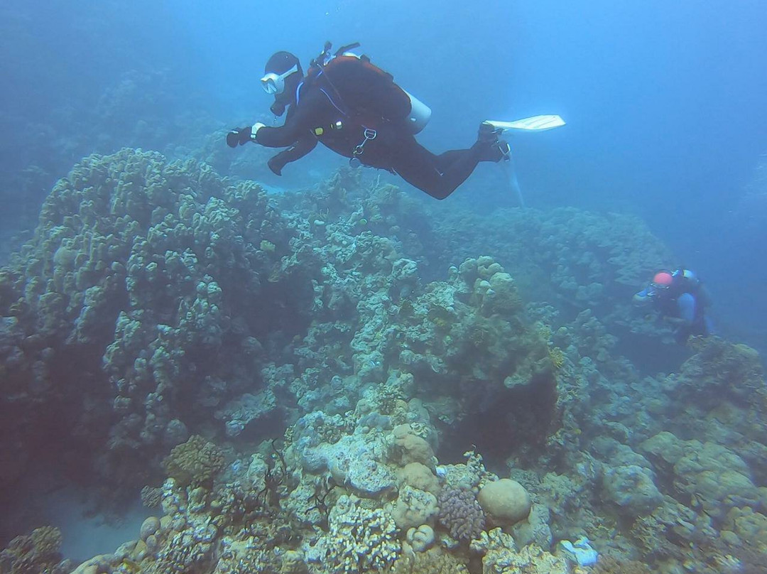 Desert Sea Divers-吉达必去景点