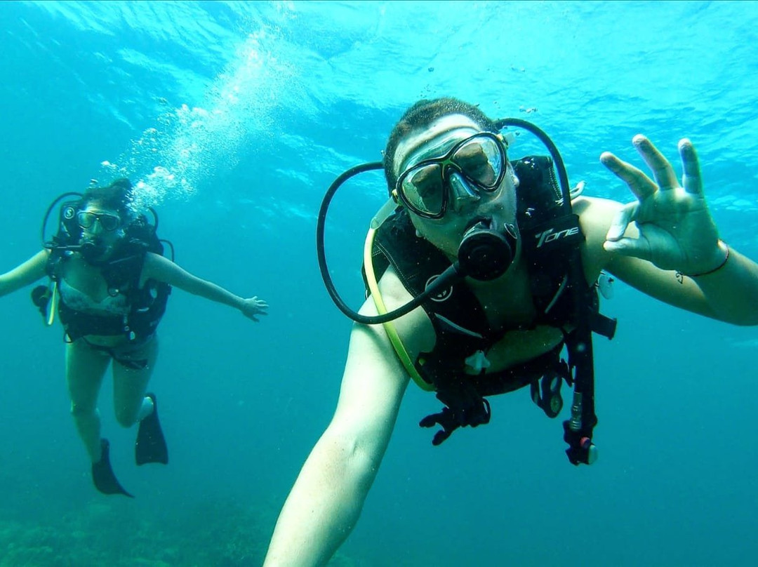 Colombia Underwater Expeditions-Arusi必去景点