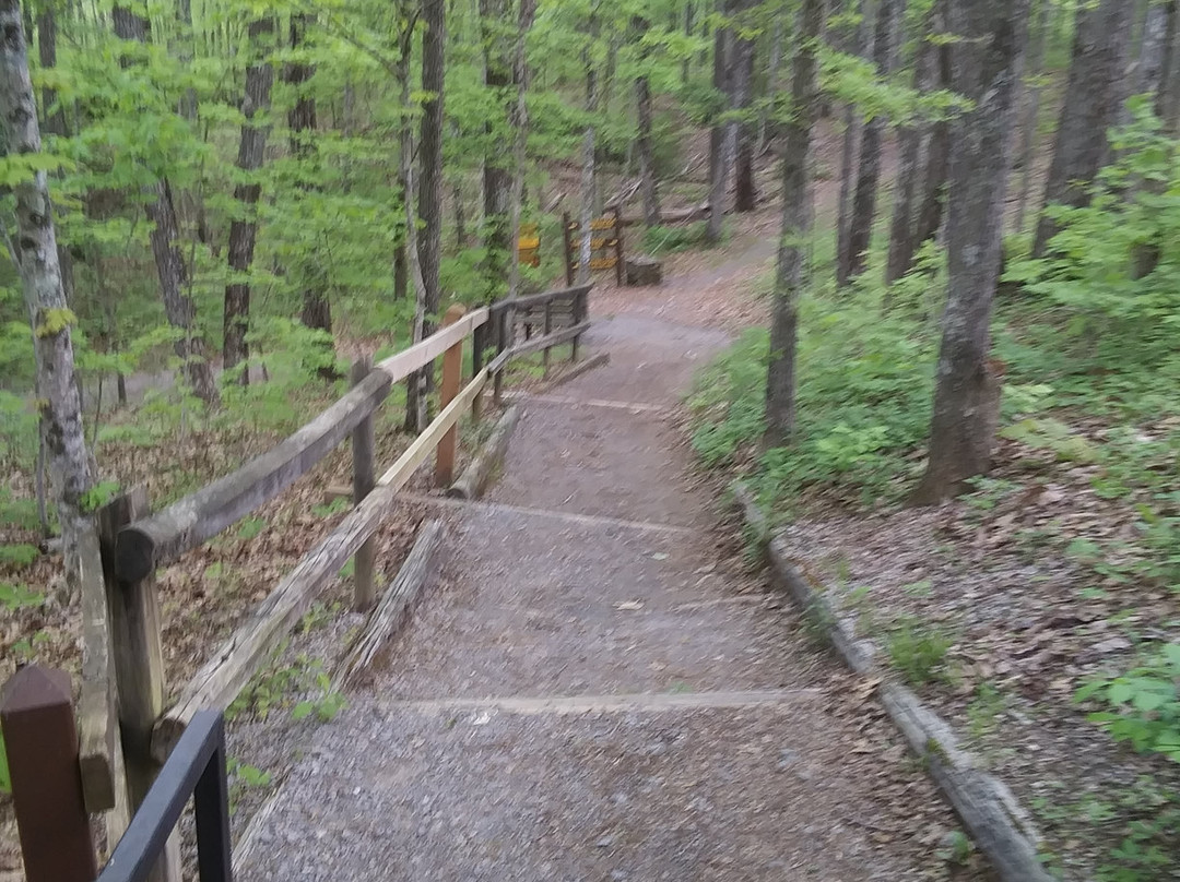 Chained Rock-Pineville必去景点