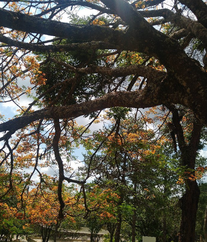 Parque do Trabalhador - Corrupira-容迪亚伊必去景点