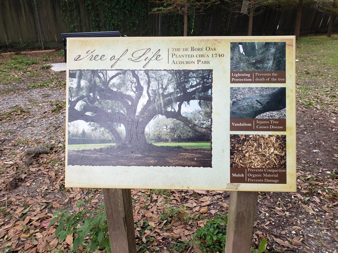 奥杜邦公园-新奥尔良必去景点