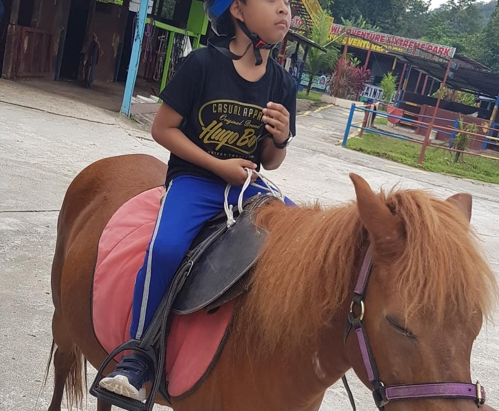 Langkawi Adventure & X-treme Park景点图片